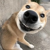 Thinhtu