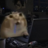 Ber
