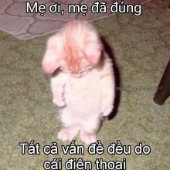 Hiền tài giả