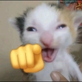 Shota Đế Vương