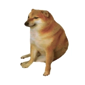 Cheems The Dog