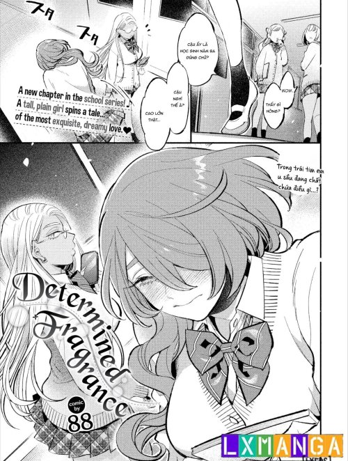 Determined Fragrance