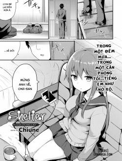Shelter!