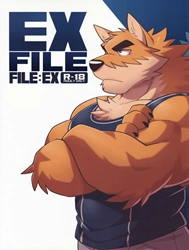Bìa truyện FILE:EX