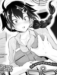 Niko Milk