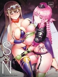 S&N (Fate/Grand Order)