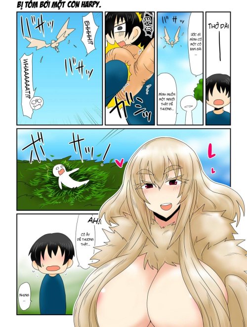 Bìa truyện Bắt gặp Harpy-san