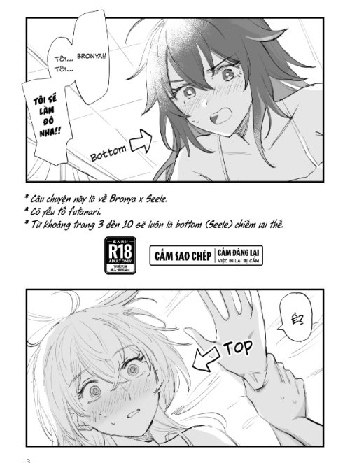 Bìa truyện Bronya X Seele