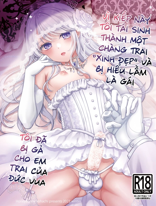 Bìa truyện Vì kiếp này tôi tái sinh thành một chàng trai "xinh đẹp" và bị hiểu lầm là gái, tôi đã bị gả cho em trai của đức vua