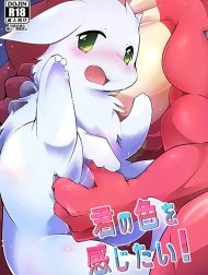 Bìa truyện Kimi no Iro o Kanjitai!