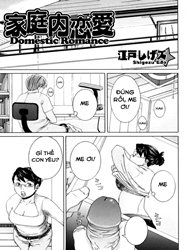 Bìa truyện Domestic romance