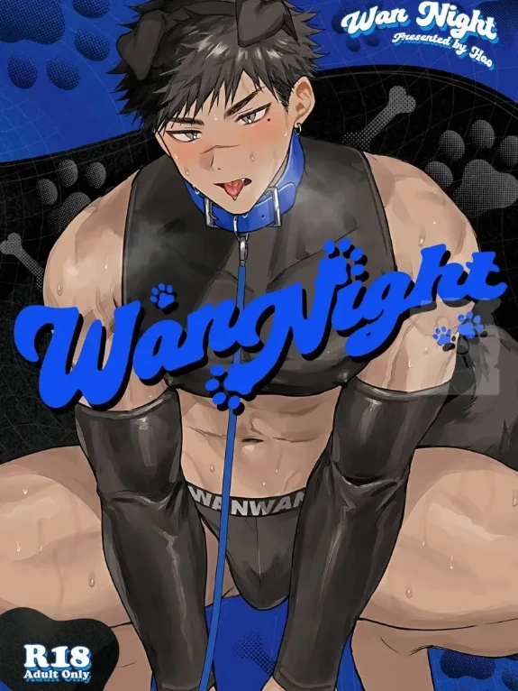 Bìa truyện WanNight