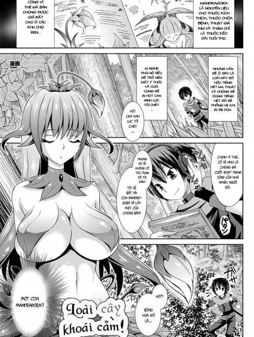 Mandragora of Pleasure
