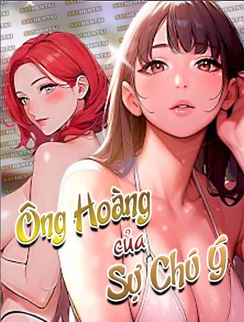 Bìa truyện Ông Hoàng Của Sự Chú Ý