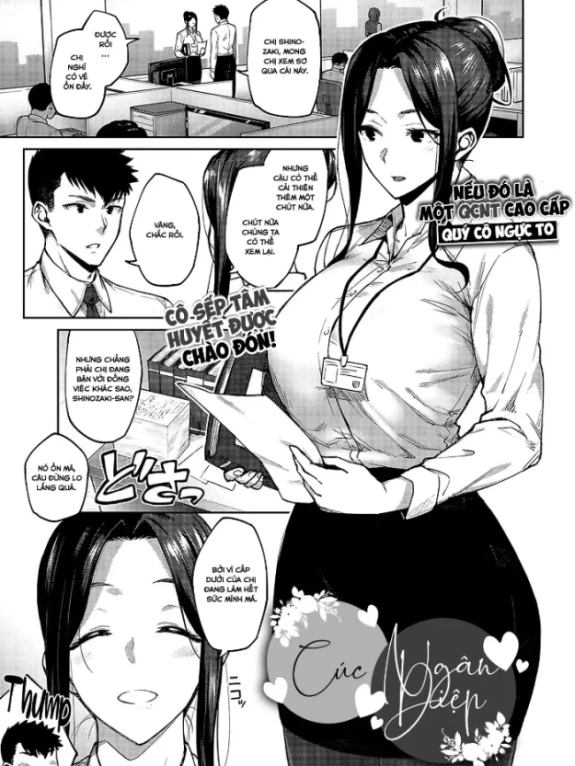 Shirotaegiku [Dusty miller]