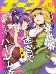 Bìa truyện A Harem in the Fantasy World Dungeon [Isekai Meikyuu De Harem O]