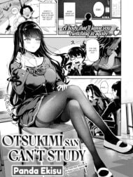 Bìa truyện Otsukimi-san wa Benkyou ga Dekinai