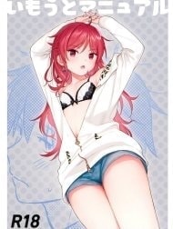 Imouto Manual (Qualidea Code)