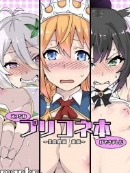 Ecchi na PriConne Bon ga Dekimashita [Ecchi na PriConne Bon ga Dekimashita]